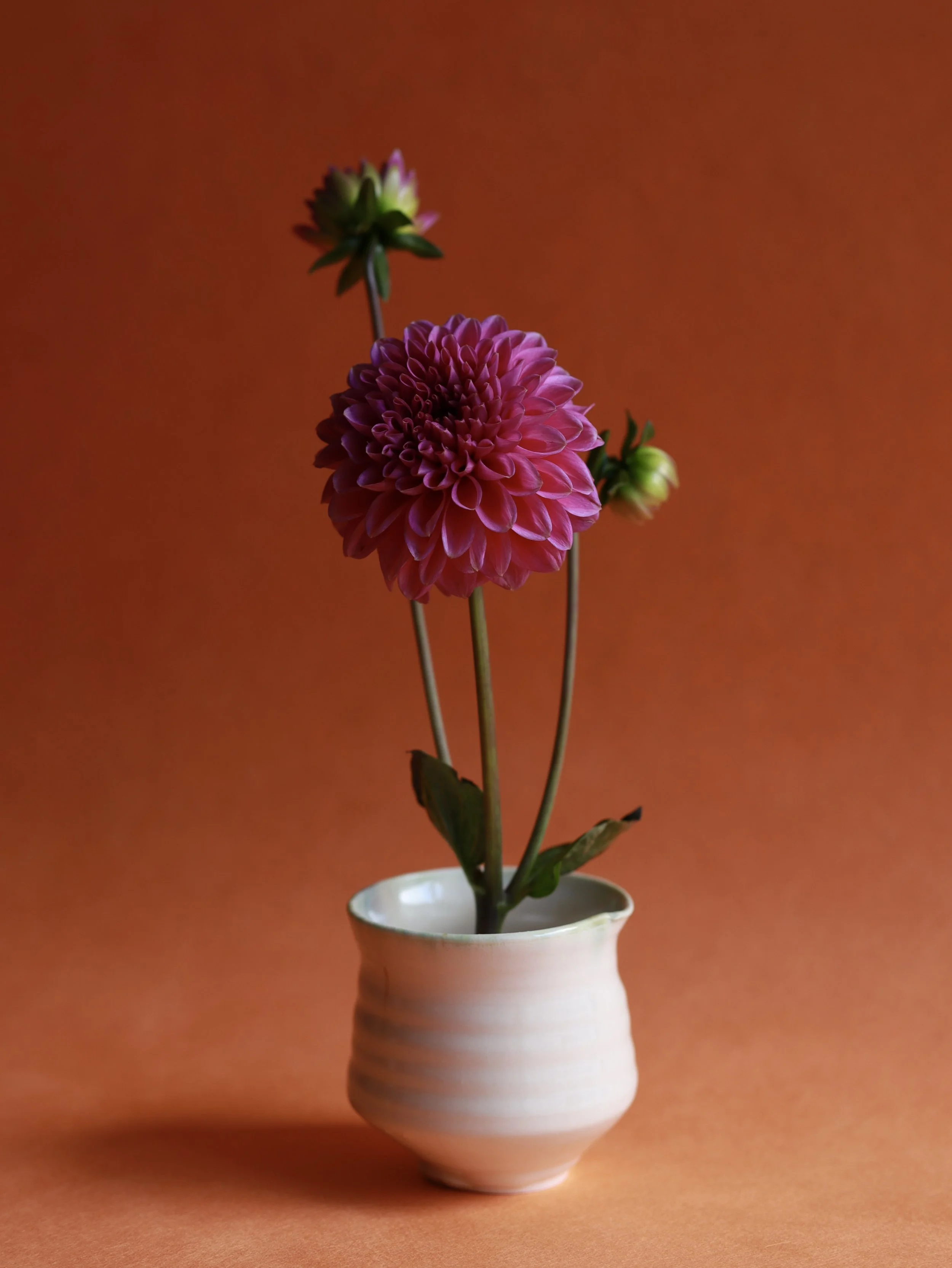 Flora II, dahlia with porcelain cup by Flora Fabris