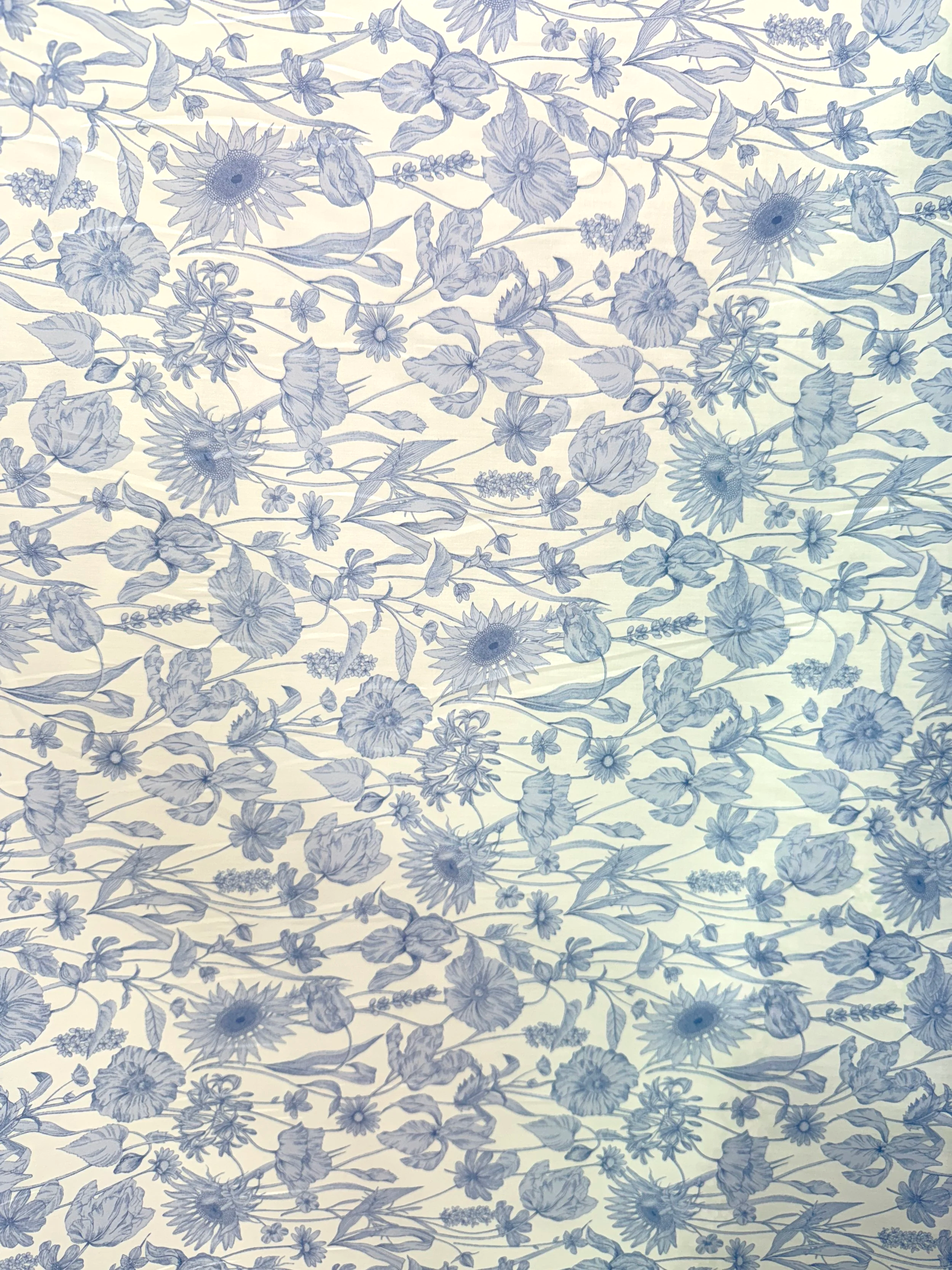 Liberty Mono Muse (X) Tana Lawn