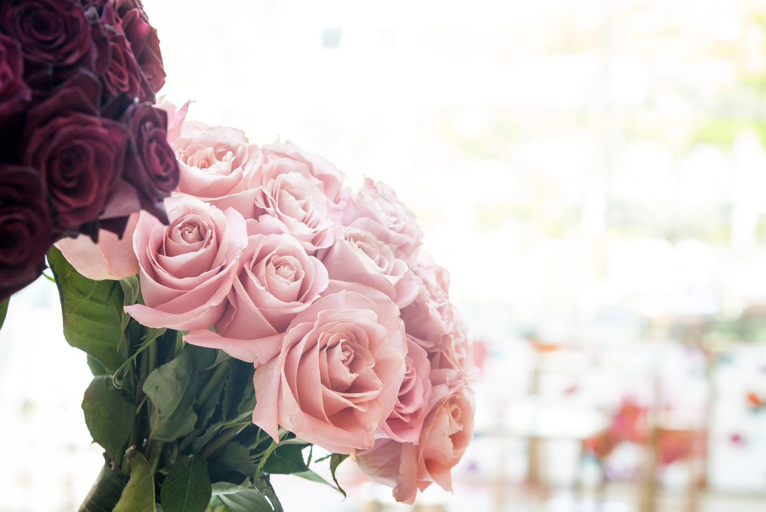rose 10.jpg