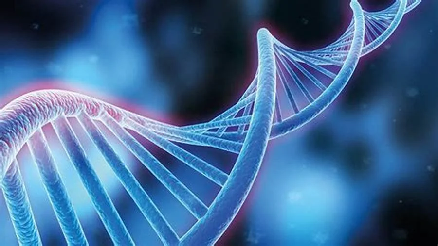 Scientists Update Human Genome Making it More Inclusive