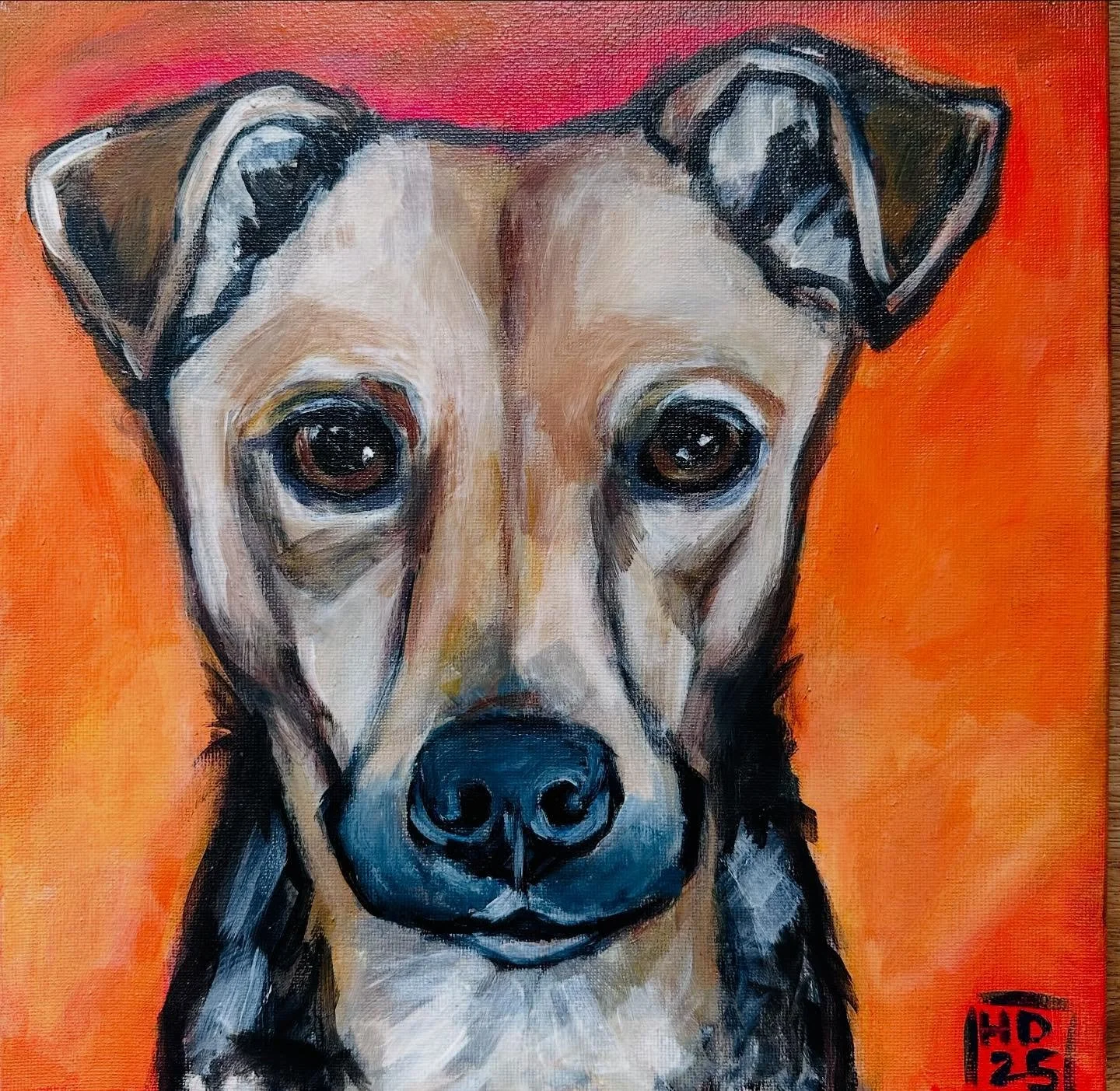 &ldquo;Noodle&rdquo; is finished and ready to be shipped! What a handsome little fella 🐕

#PetPortrait, #Dog, #Acrylic, #PetPortrait