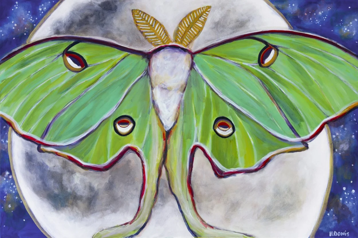 Guided By the Light_web.jpg