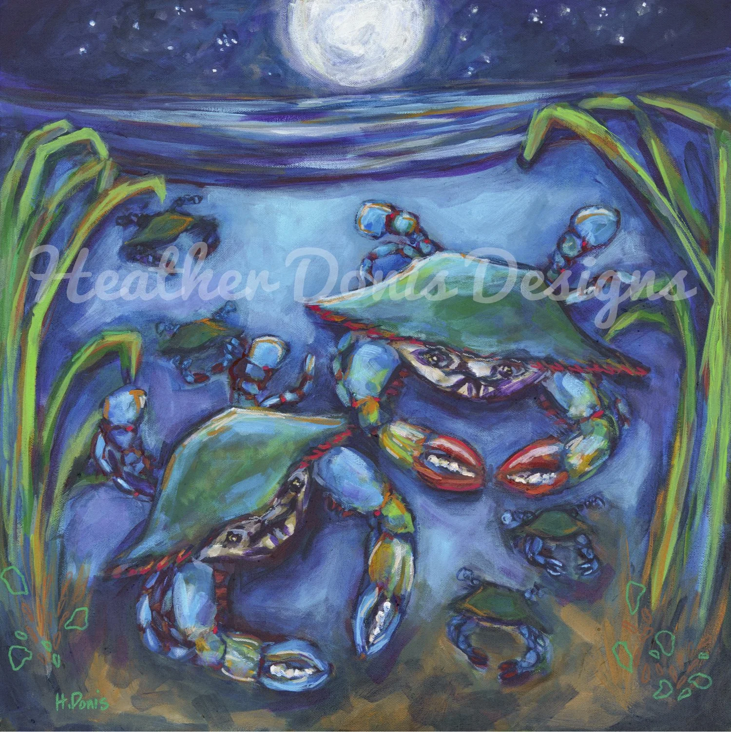 Sook and the Jimmy_website.jpg