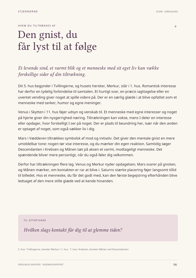 Eksempelrapport, side 6: Den gnist, du får lyst til at følge – om tiltrækning.