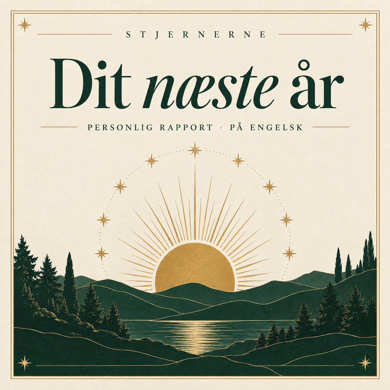 Dit Næste År - Rapport (+20 sider) - ENGELSK