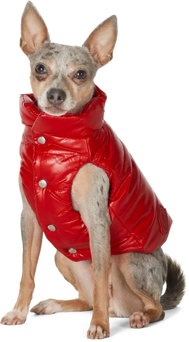 Red Poldo Dog Couture Edition Mondog Jacket