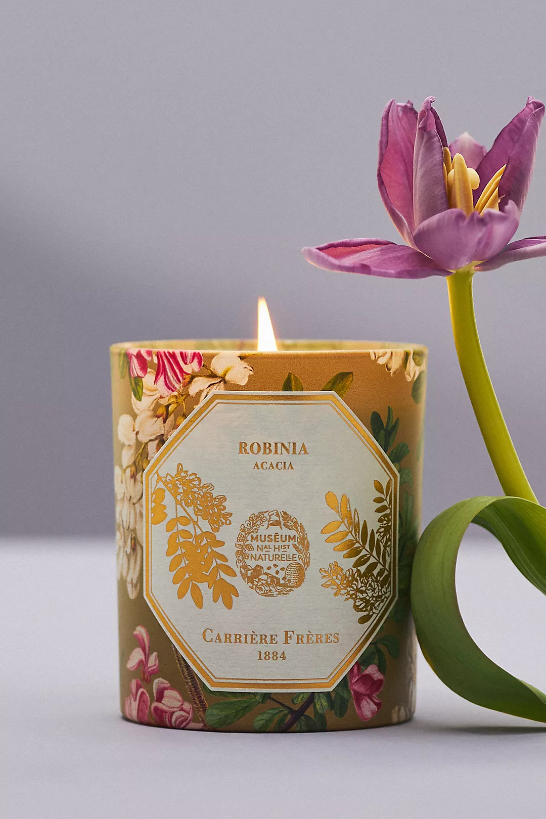 Carrière Frères Robinia Acacia Boxed Candle