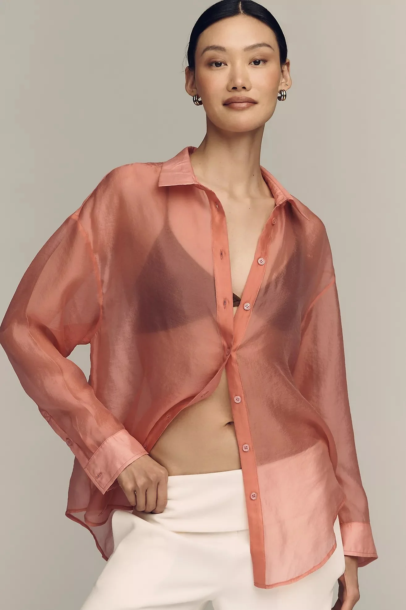 Sheer Long-Sleeve Buttondown