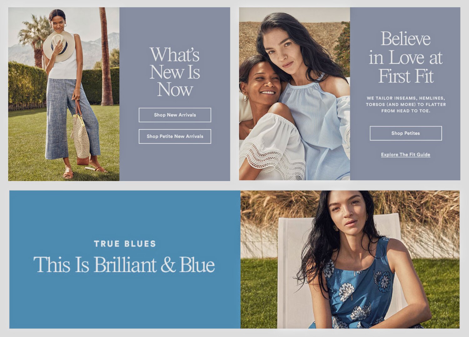 AnnTaylor.jpeg