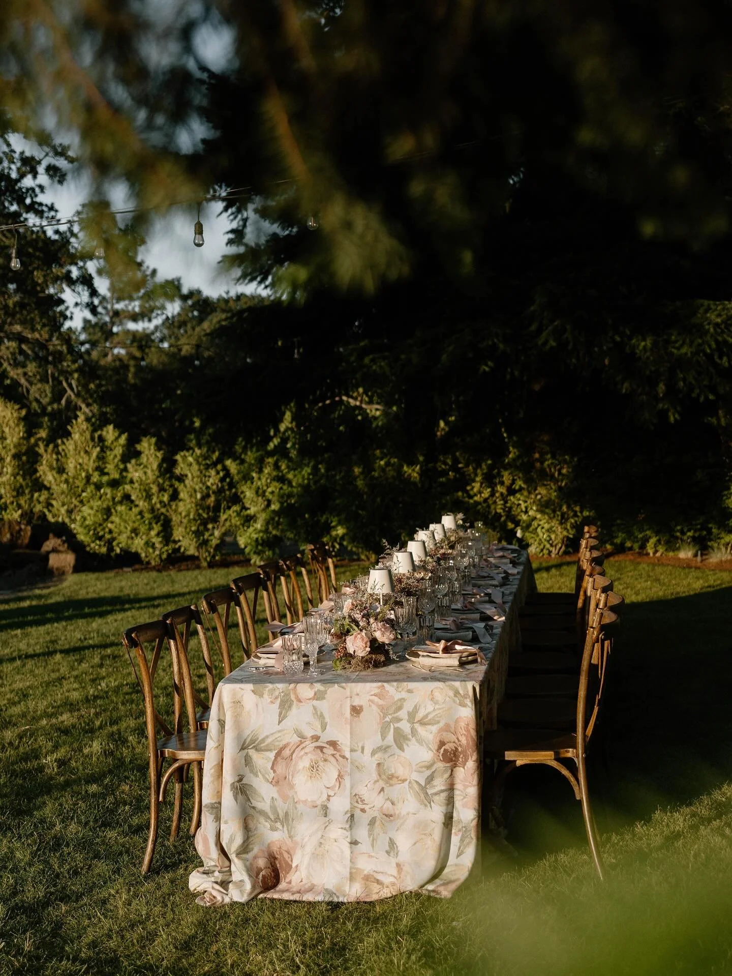 The Eastern Lawn deserves more of our undivided attention. Framed by mature laurels on one side and sweeping river views on the other, it&rsquo;s the ideal spot for long-table dinner parties, intimate gatherings, or cocktail hour ✨
