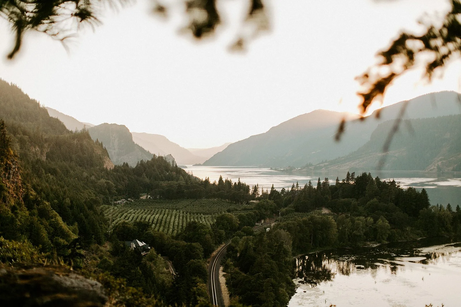 The Griffin House, a forest wedding venue in Hood River, OR
