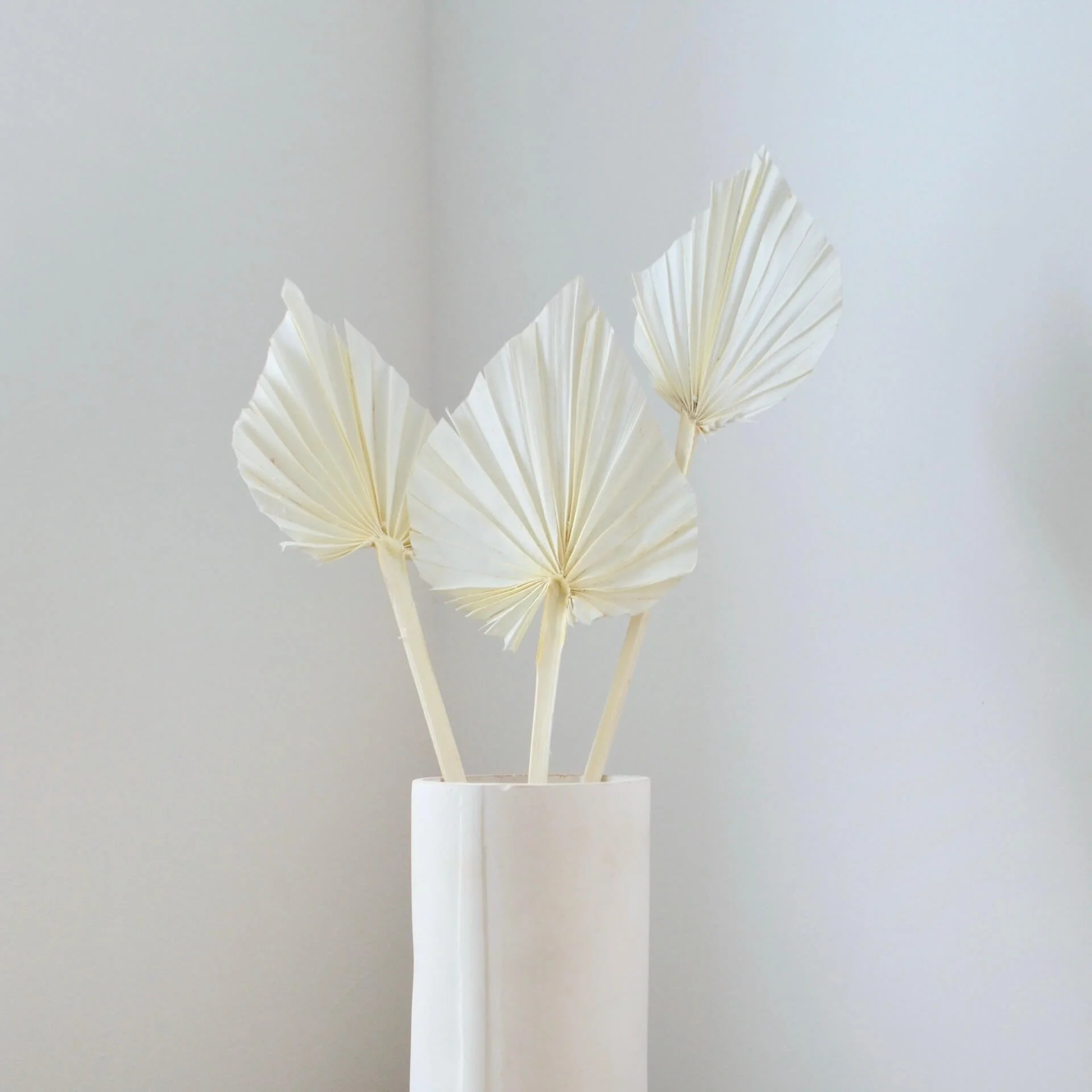 Bleached Dried Palm Spears Bunch