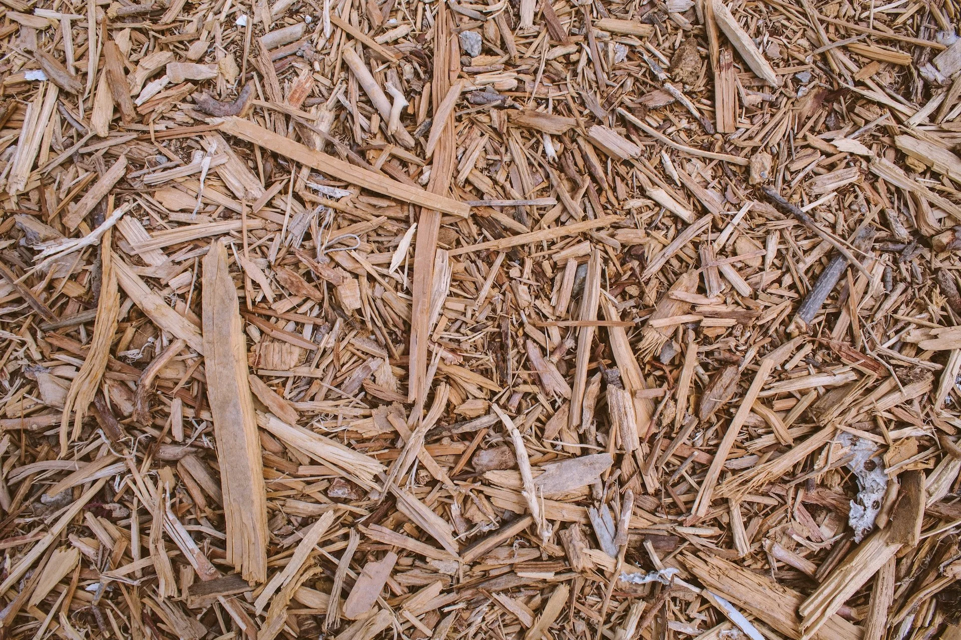 5 Surprising Ways Wood Chips Can Transform Your Landscape Design!