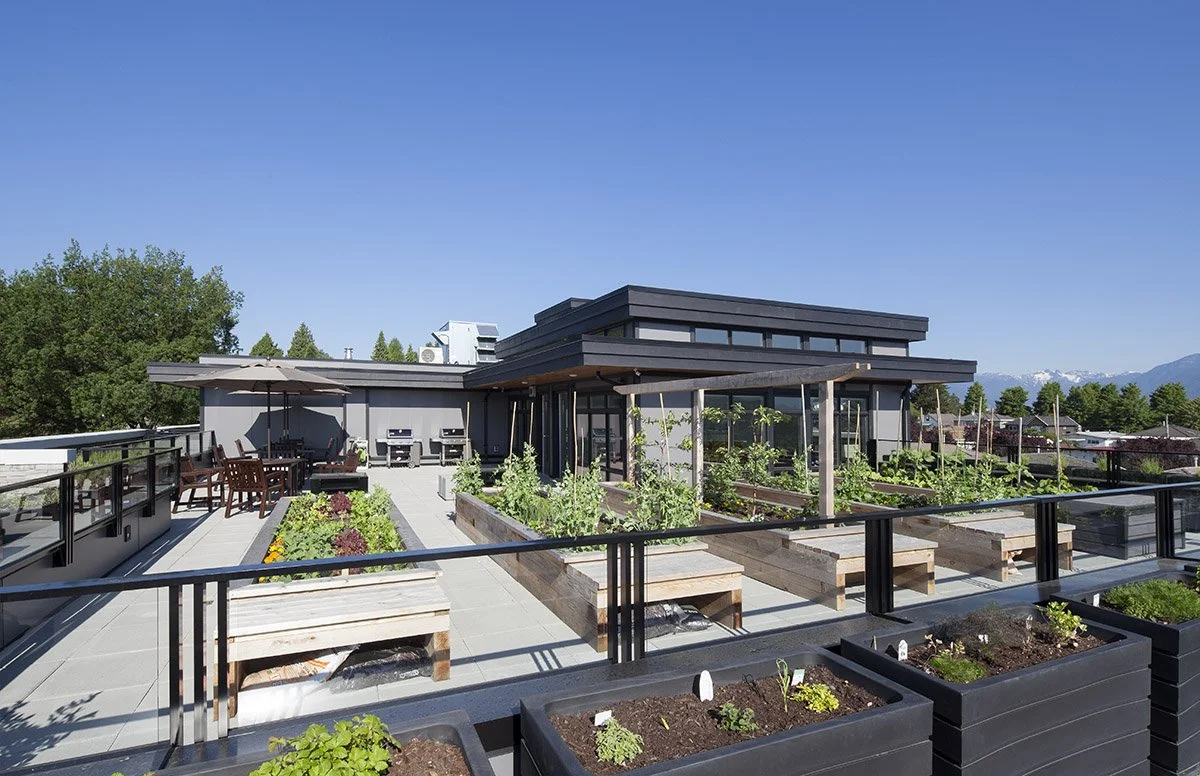 Aspen Green-Roof Garden-(1).jpg