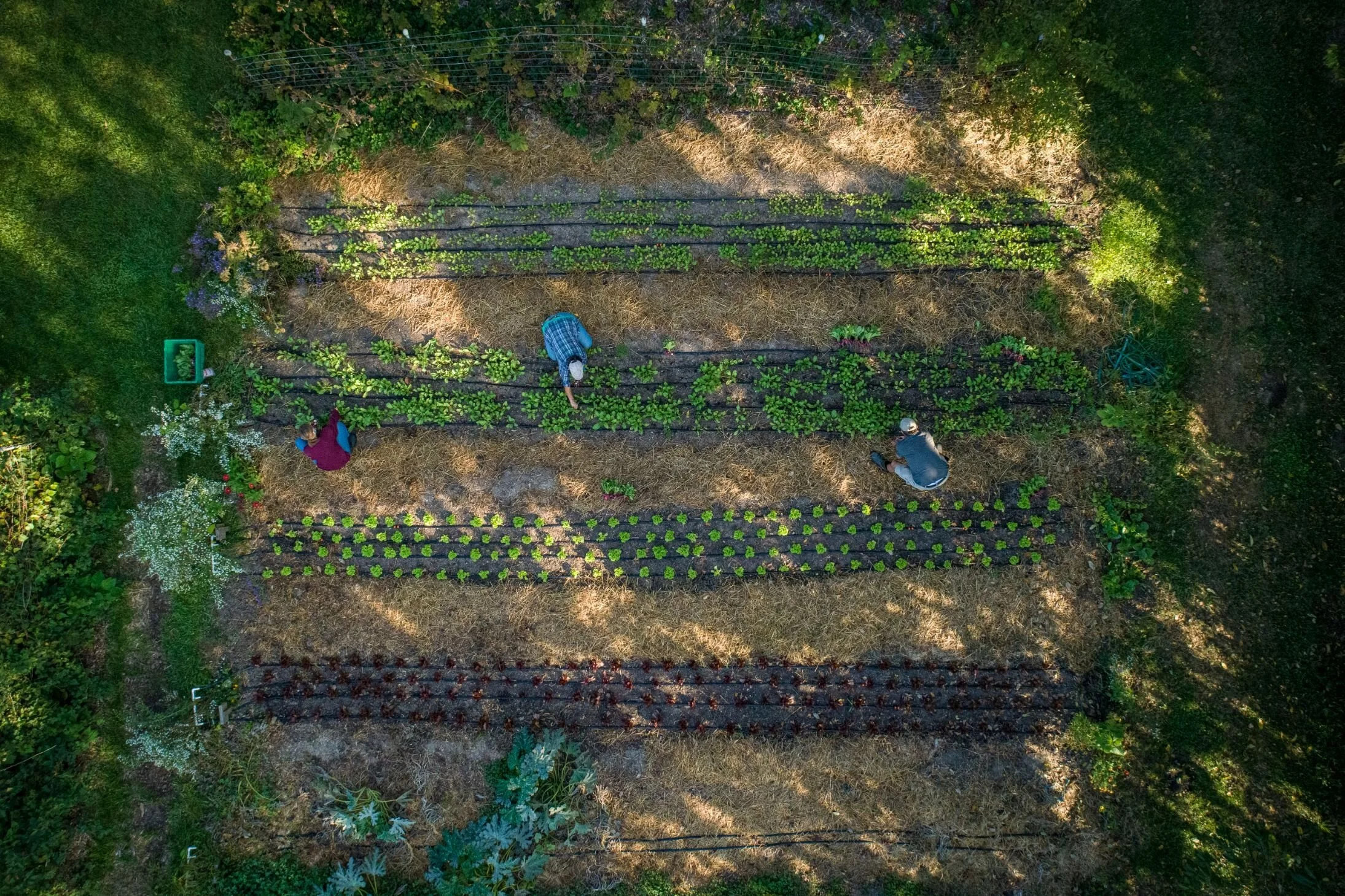 Recent Grants — The Burpee Foundation