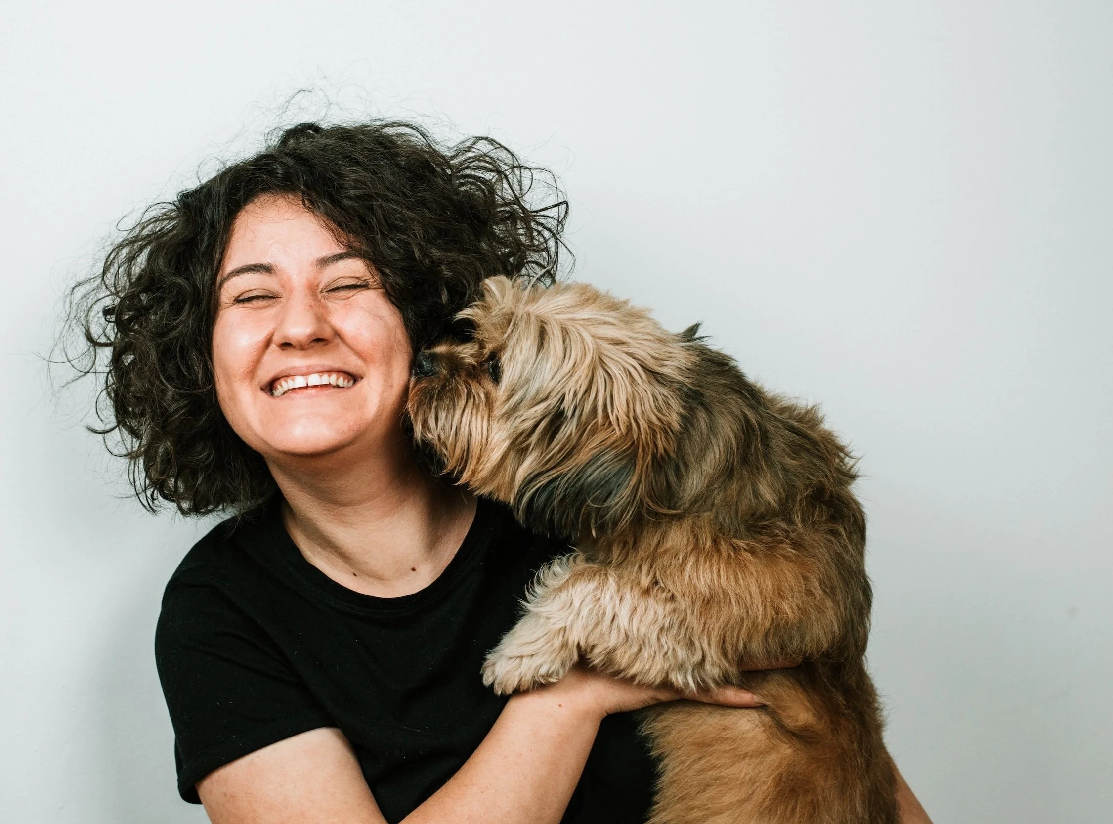 Blue Dog SF Top Dog Walkers in San Francisco