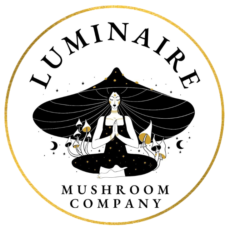 Luminaire Mushroom Company 