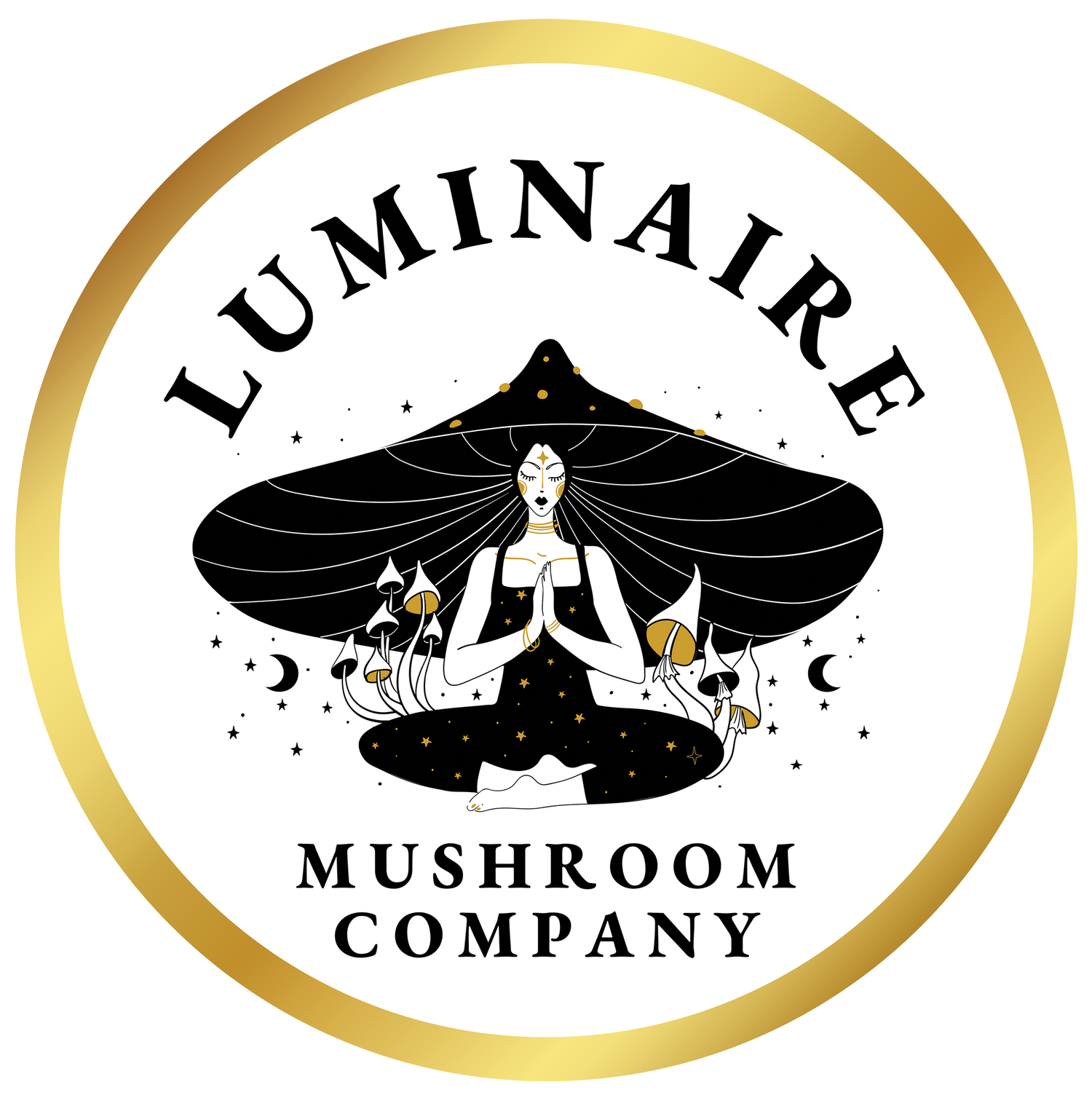 Luminaire Mushroom Company 