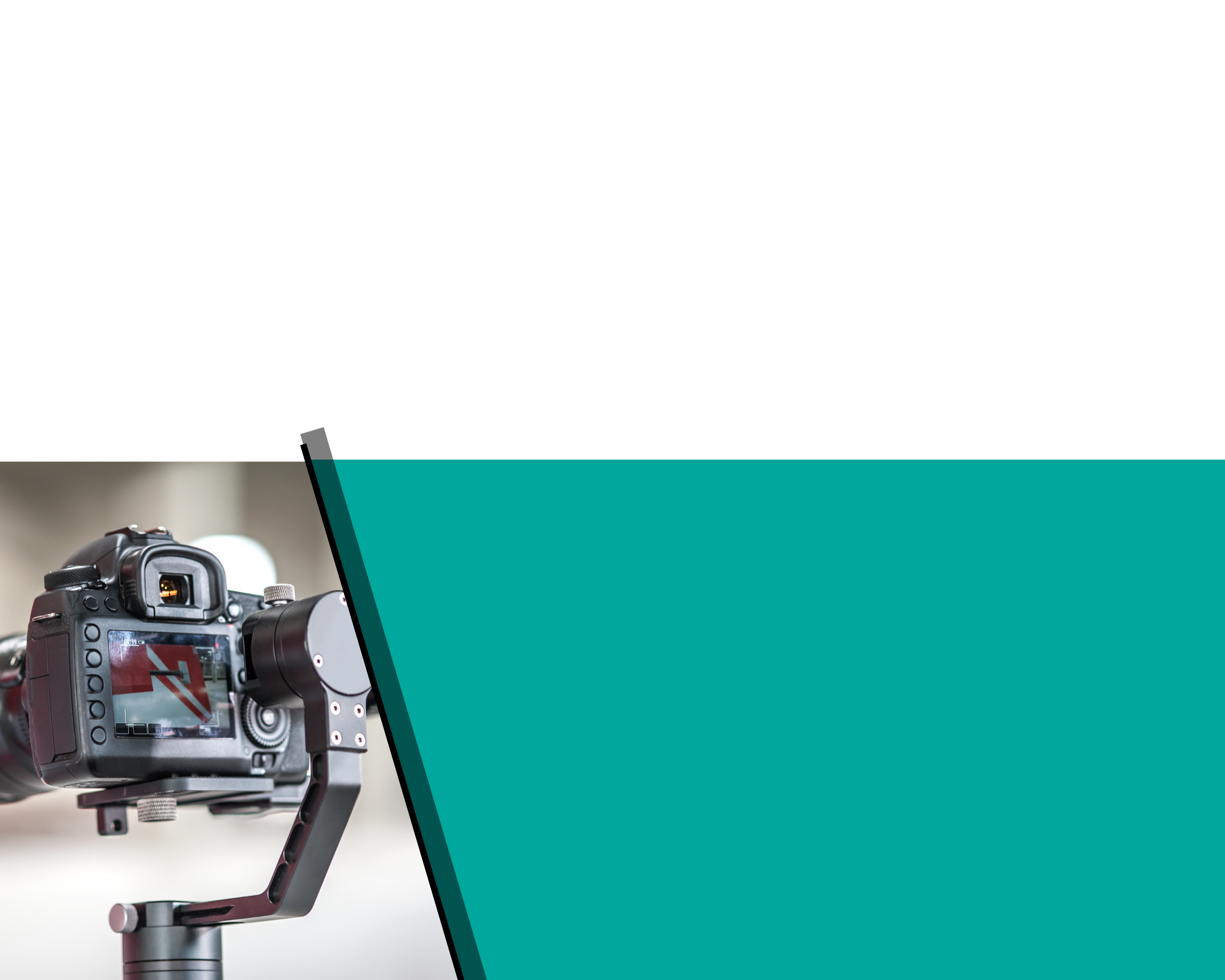 Government Services — Paragon Force, Inc. Engaged Solutions