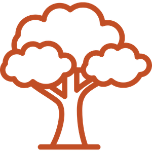 An icon of a growing tree