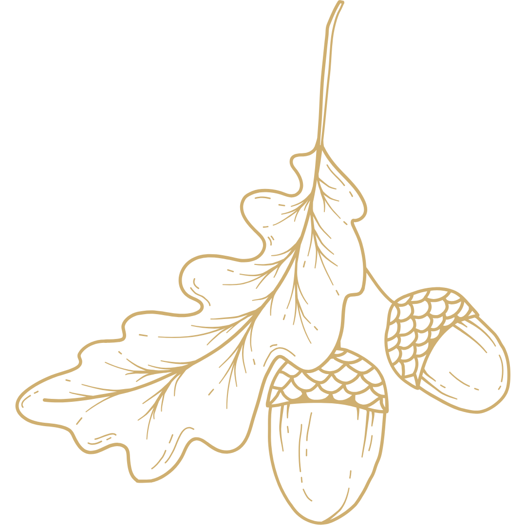 Line drawing of an oak leaf with an acorn, both outlined in gold on a black background.