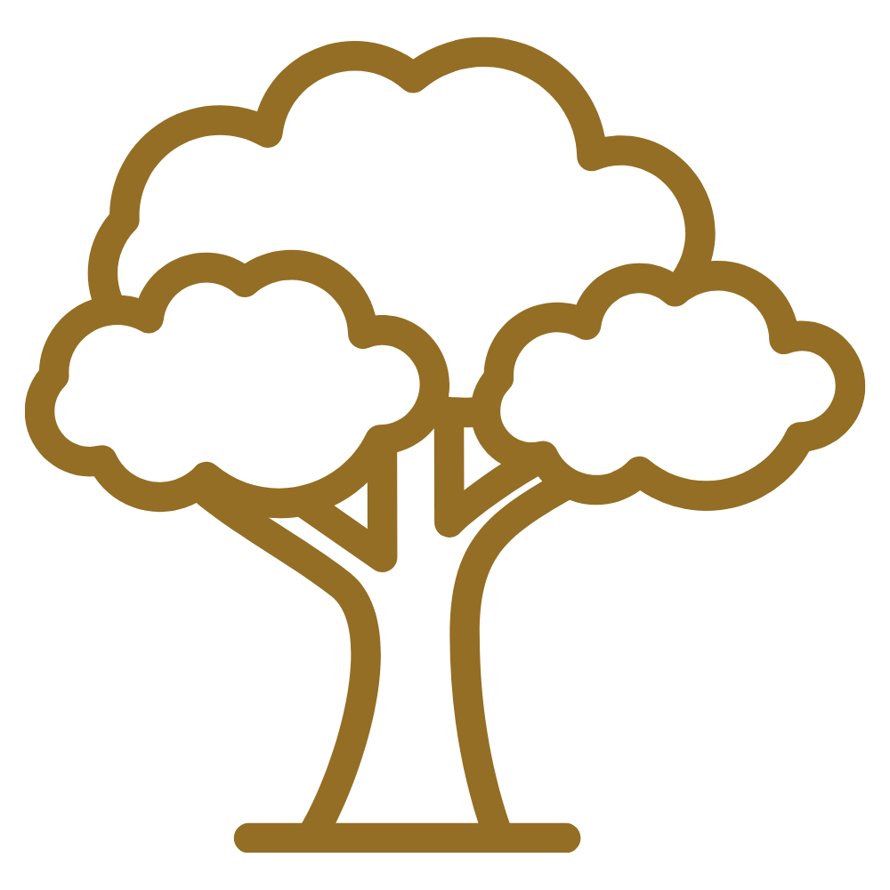 An icon of a growing tree