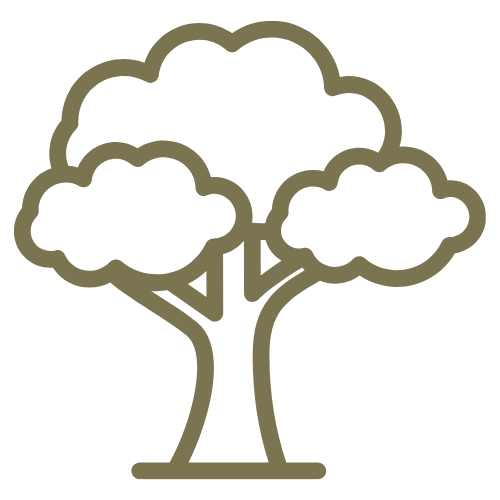 An icon of a growing tree