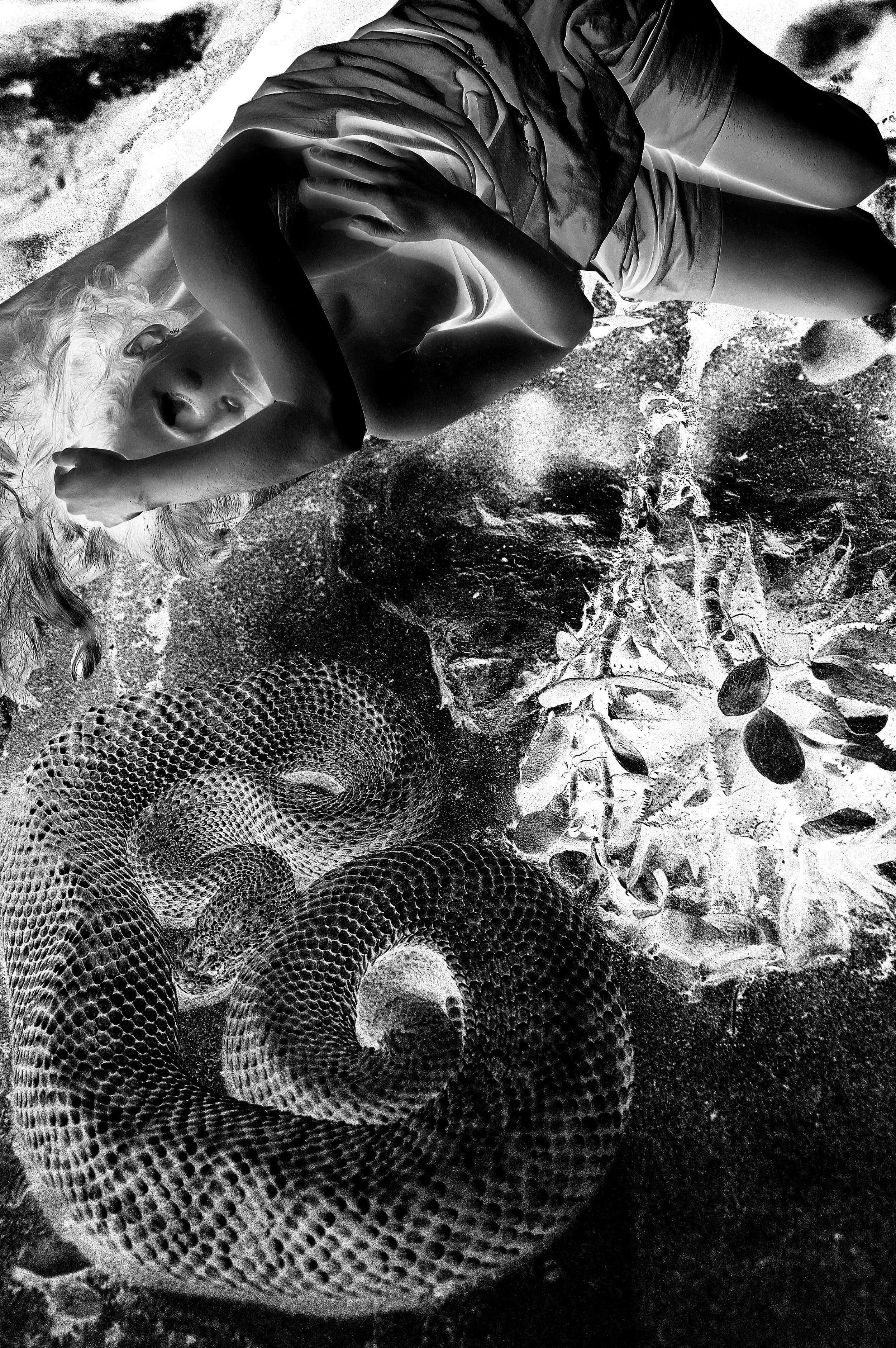 Katrin Loy