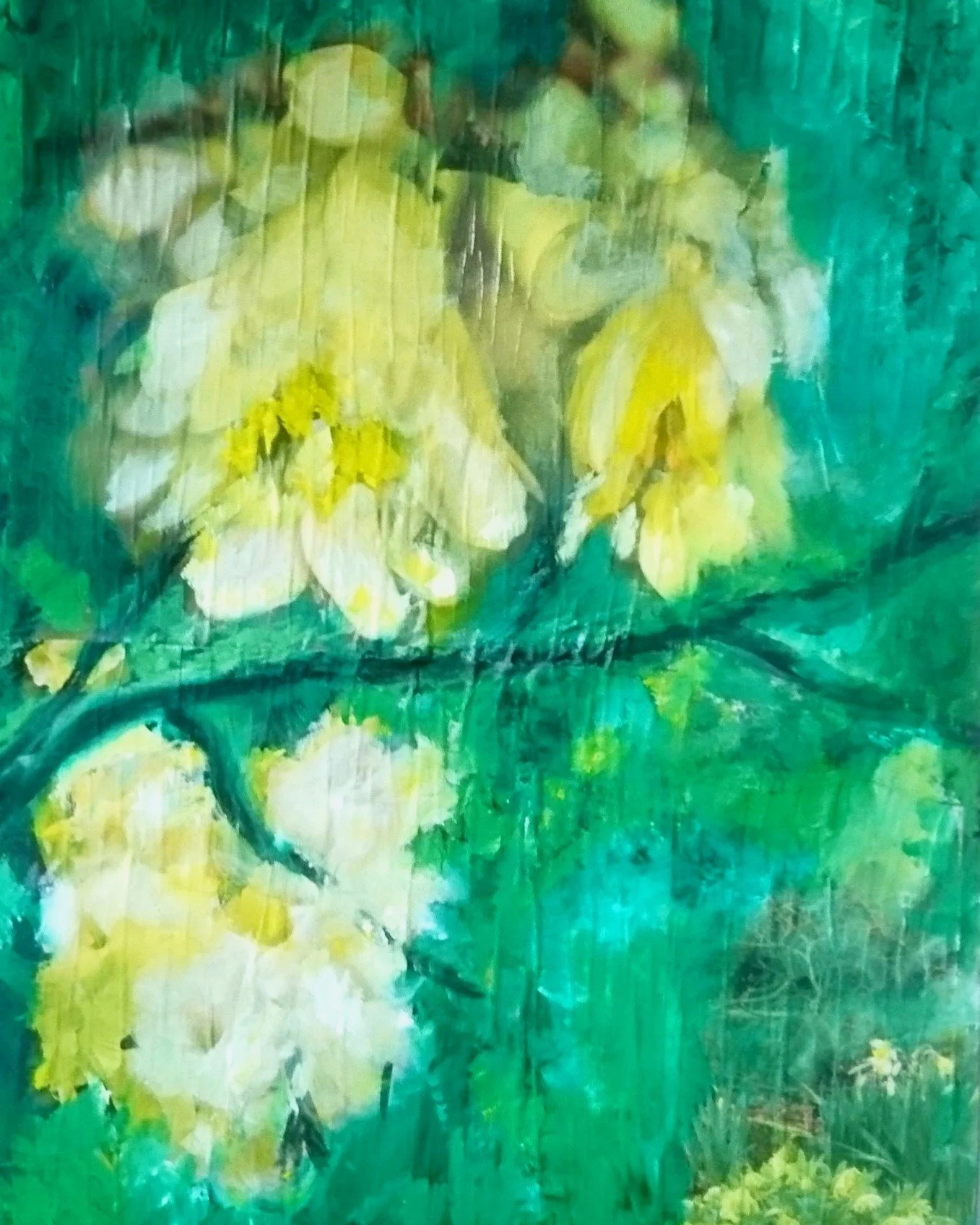 Petra Dippold-Goetz