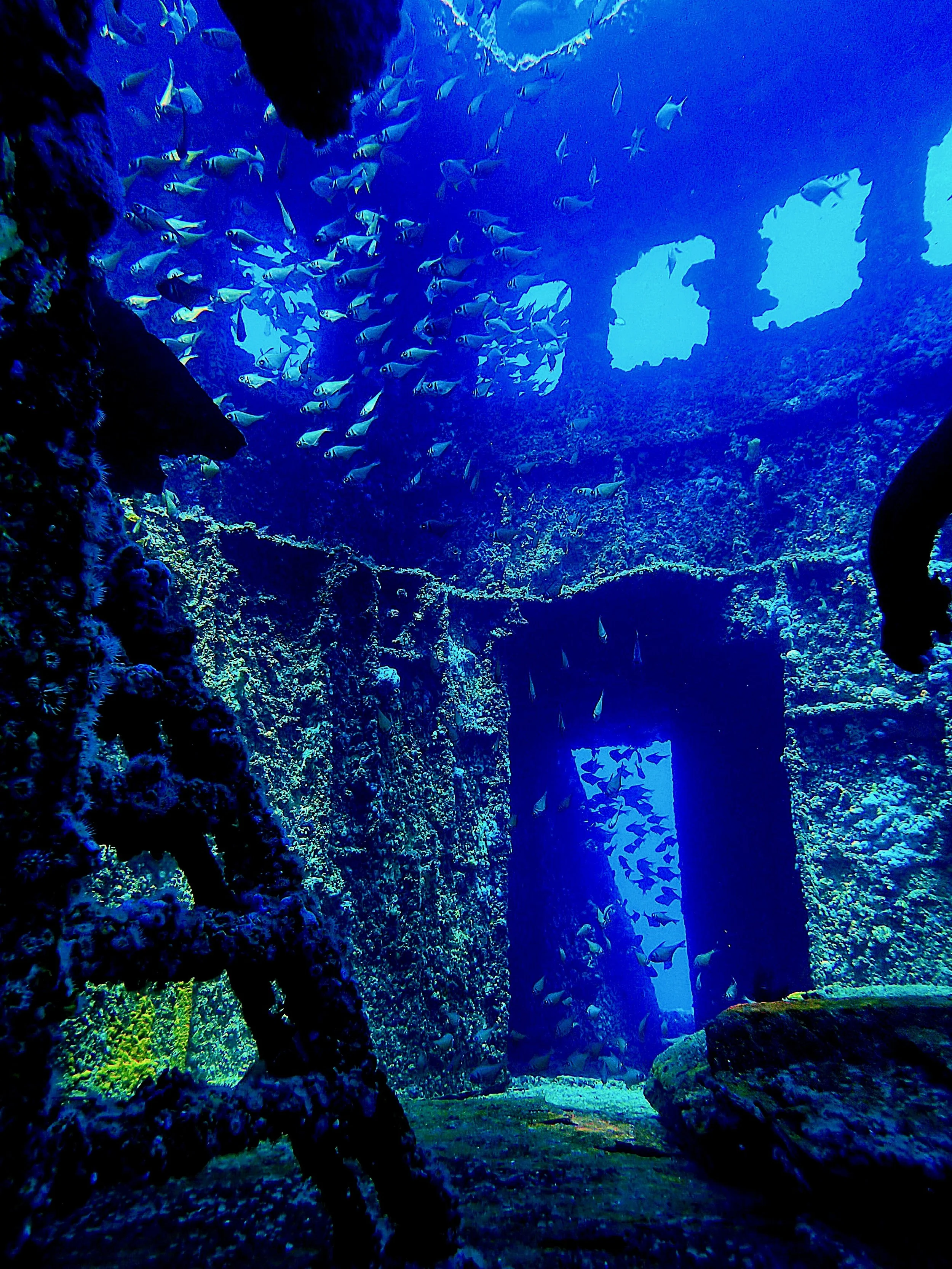 Claire Davenhall  ·  Winner Collectors Art Prize 