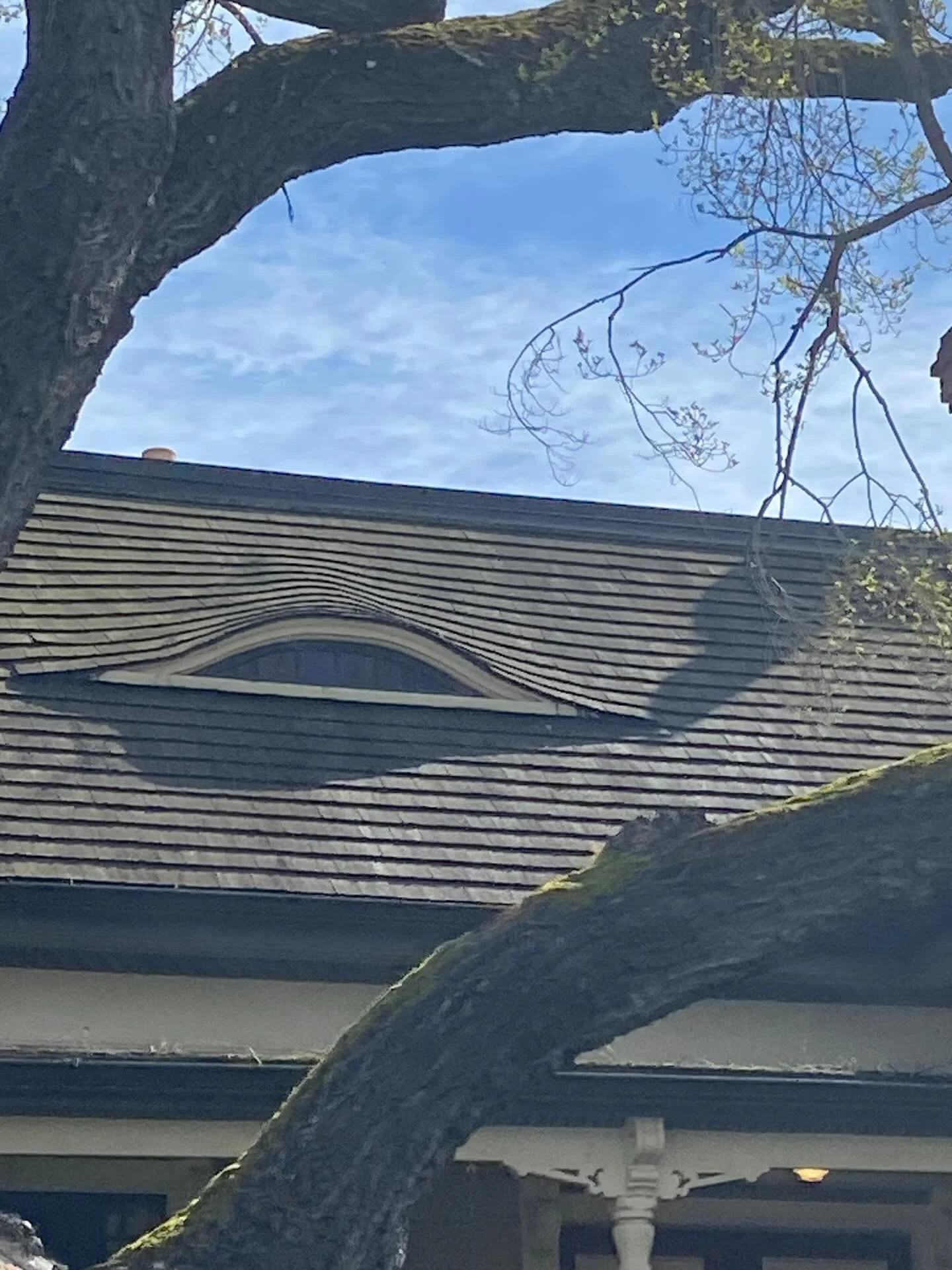Eyebrow windows. I was a little surprised when our tour guide said why. I learned about them (among a lot of other things) while on a carriage ride in Victoria British Columbia with friends about a week ago. Do you know the story behind these interes