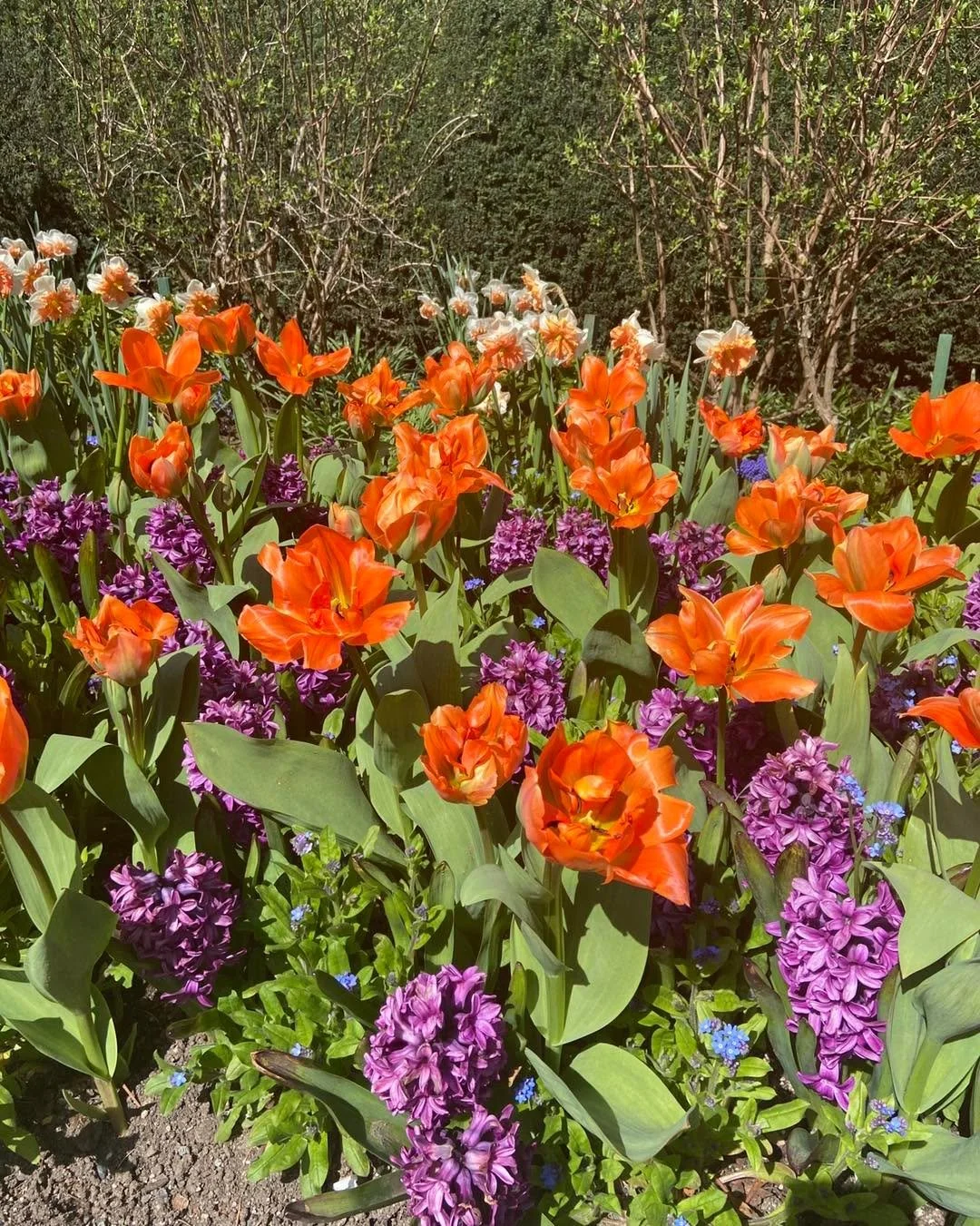 Happy Spring everyone!