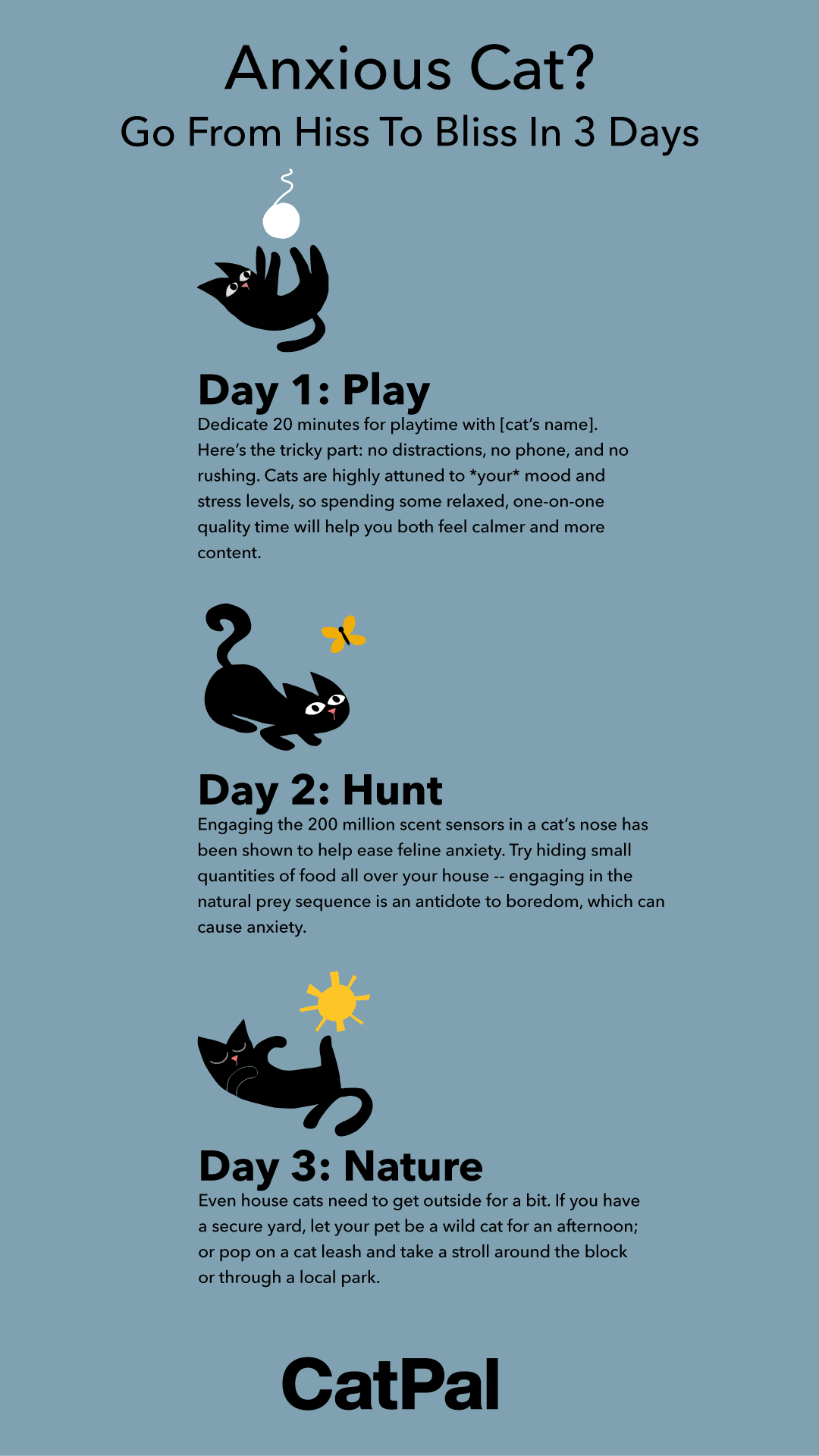 CatPal Brochure-03.png