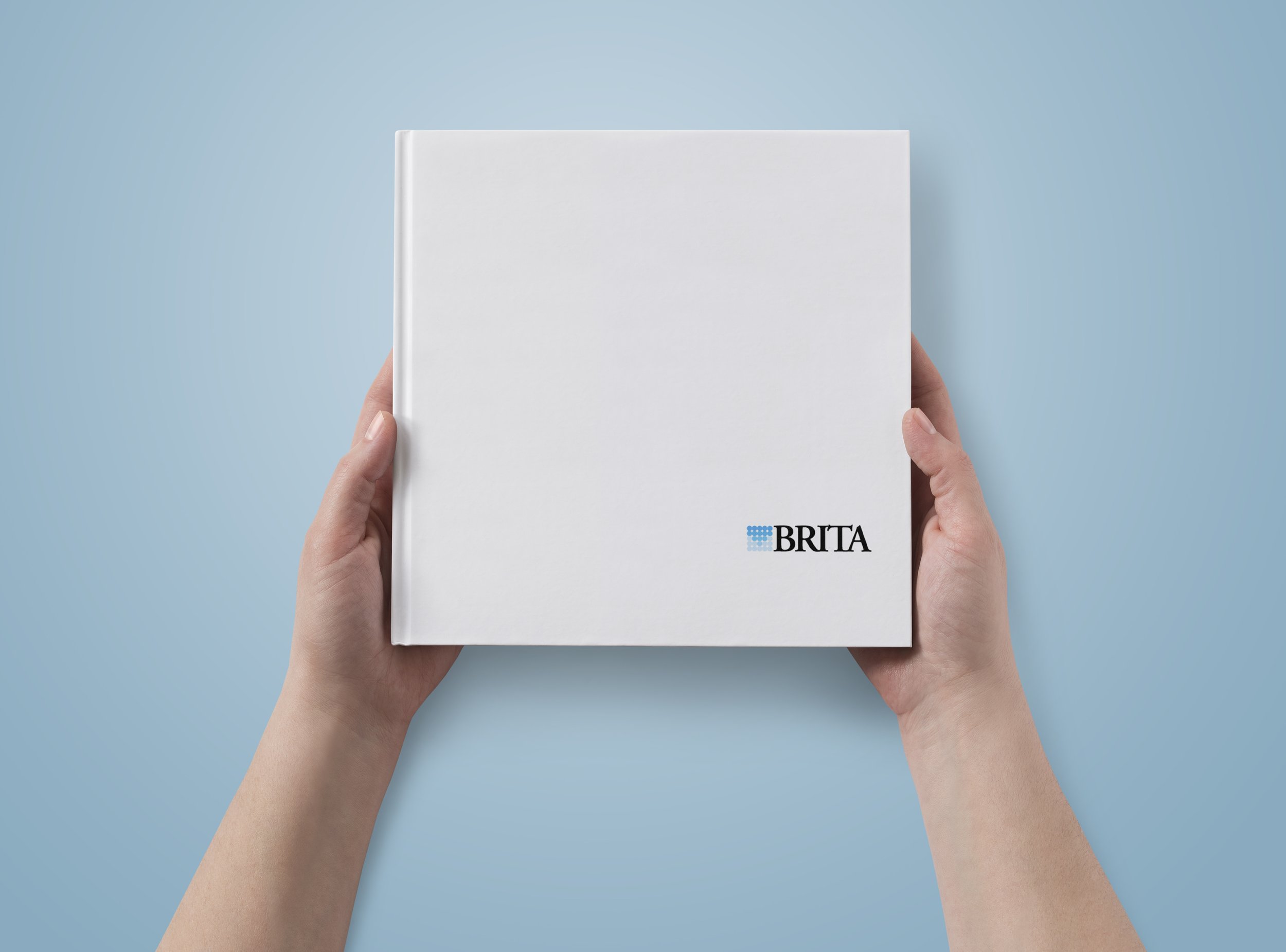 Brita-BookMock-001-Cover.jpg