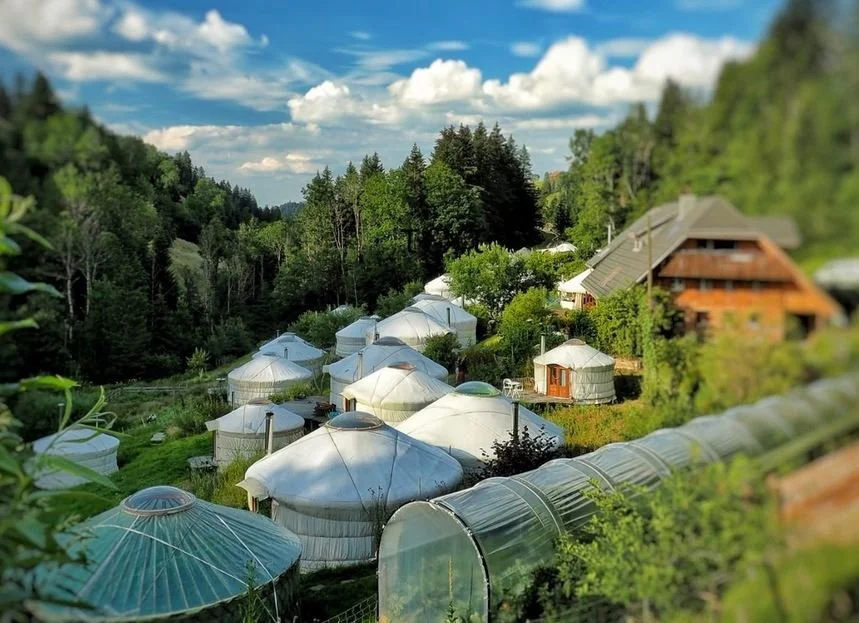 A scenic view of multiple white greenhouses and a wooden house set in a lush, green, forested hillside under a blue sky with clouds.