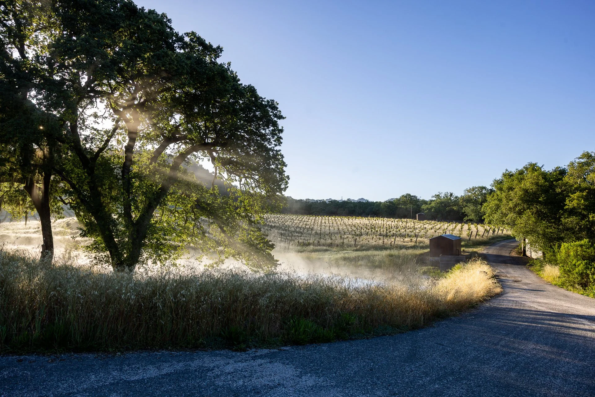 Lucero_Group_13414_Chalk_Hill_Rd-16.jpg