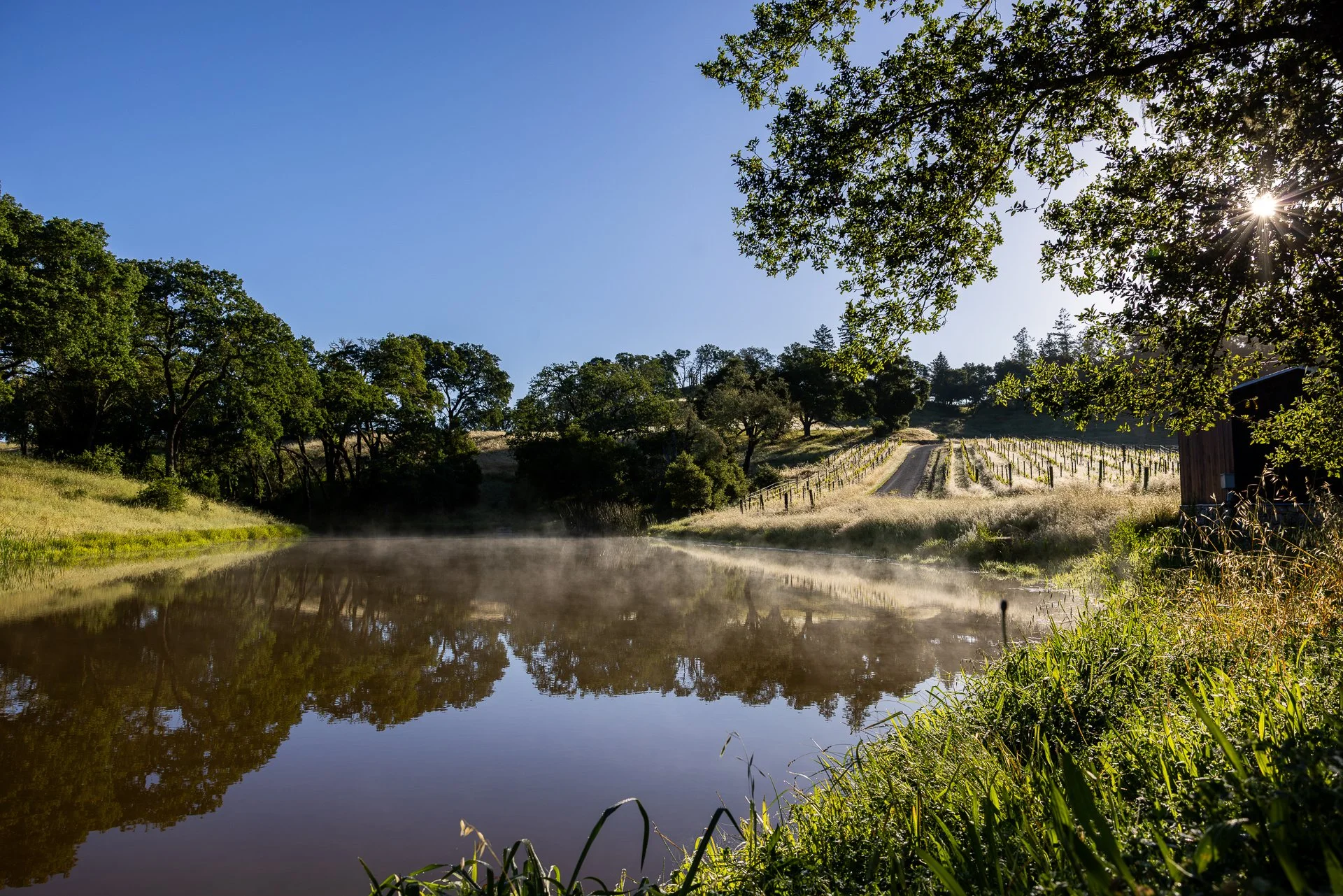 Lucero_Group_13414_Chalk_Hill_Rd-23.jpg