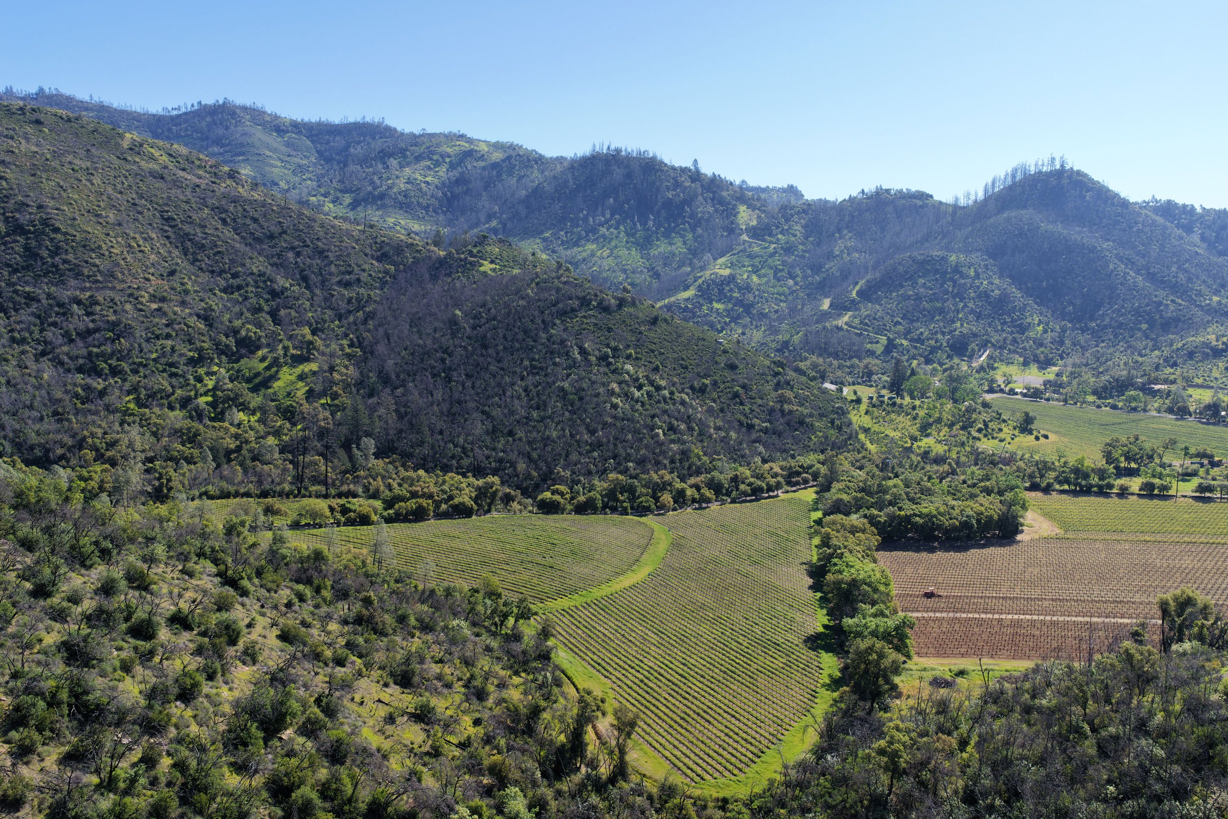 DJI_20260312110432_0067_D.JPG