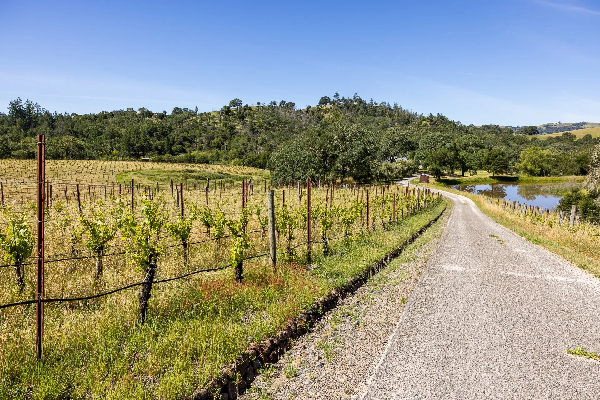 Lucero_Group_13414_Chalk_Hill_Rd-87.jpg