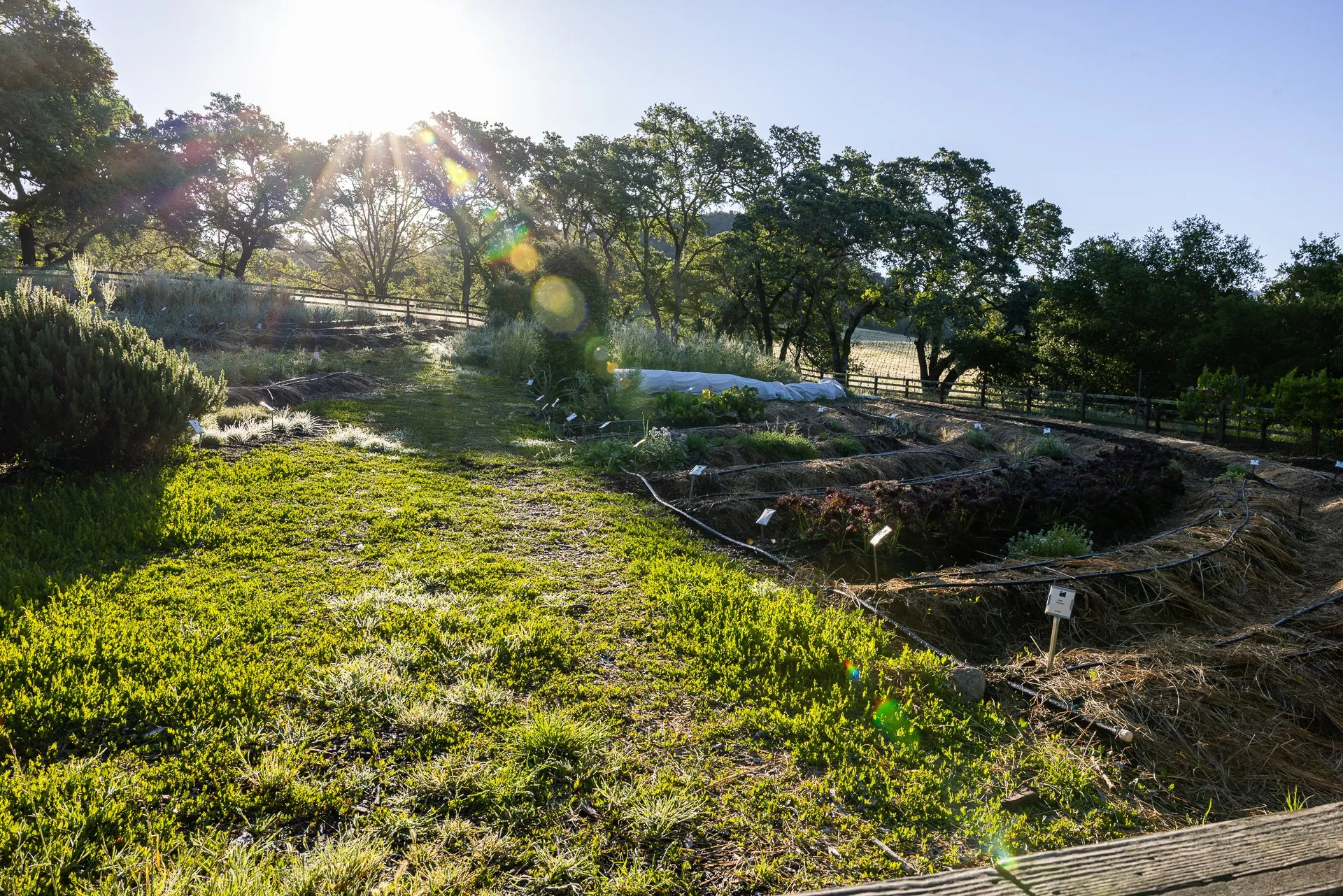 Lucero_Group_13414_Chalk_Hill_Rd-26.jpg