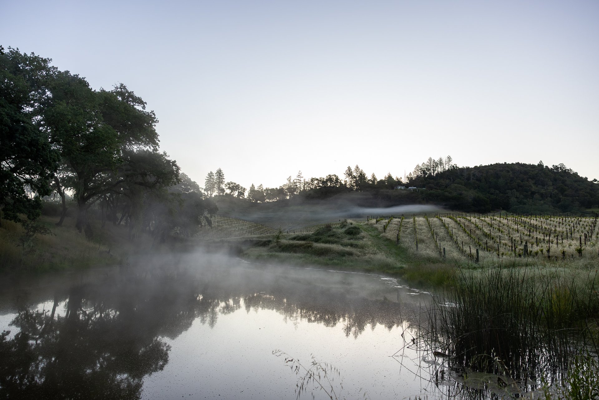 Lucero_Group_13414_Chalk_Hill_Rd-2.jpg