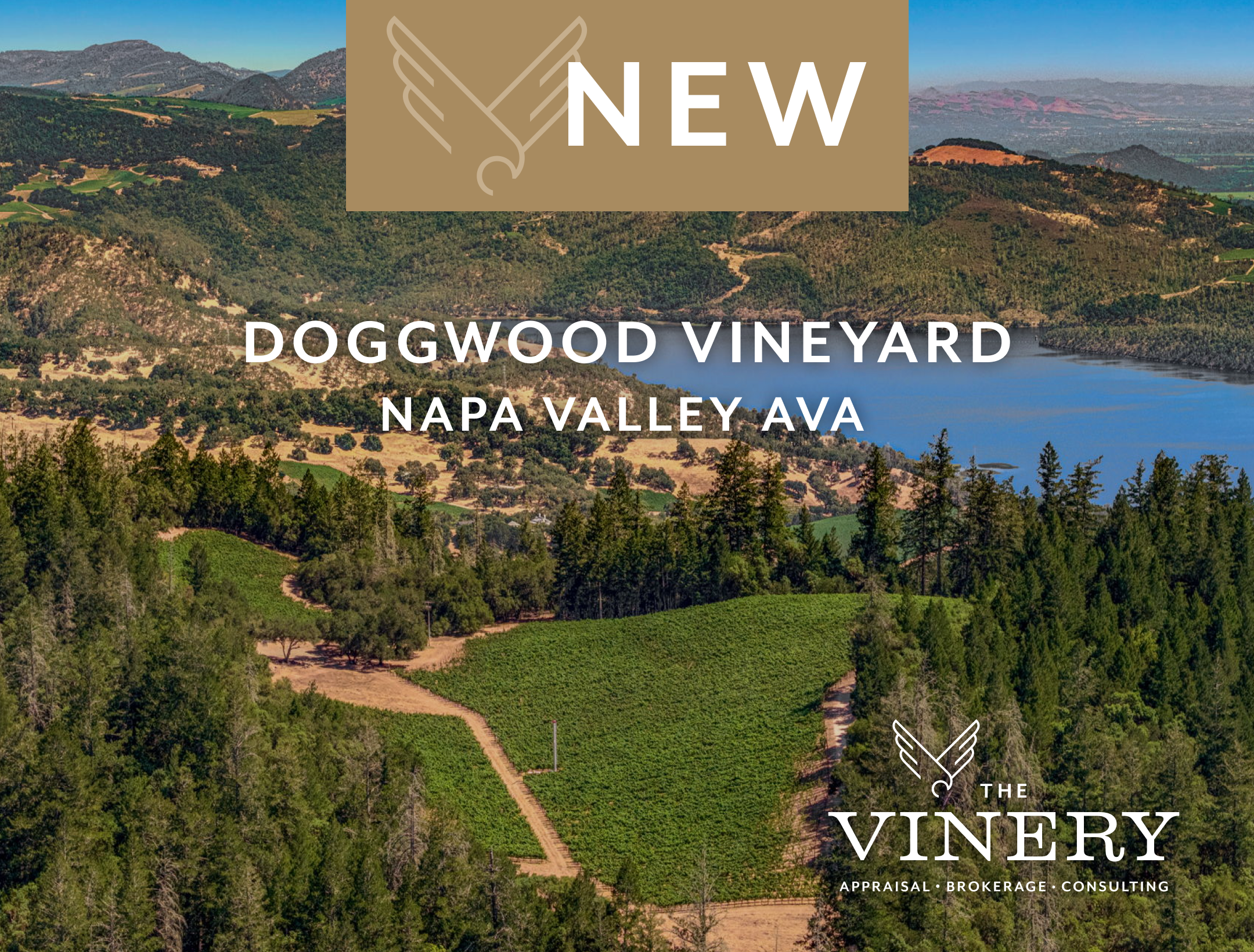 webTile_doggwoodVineyeard_New.png