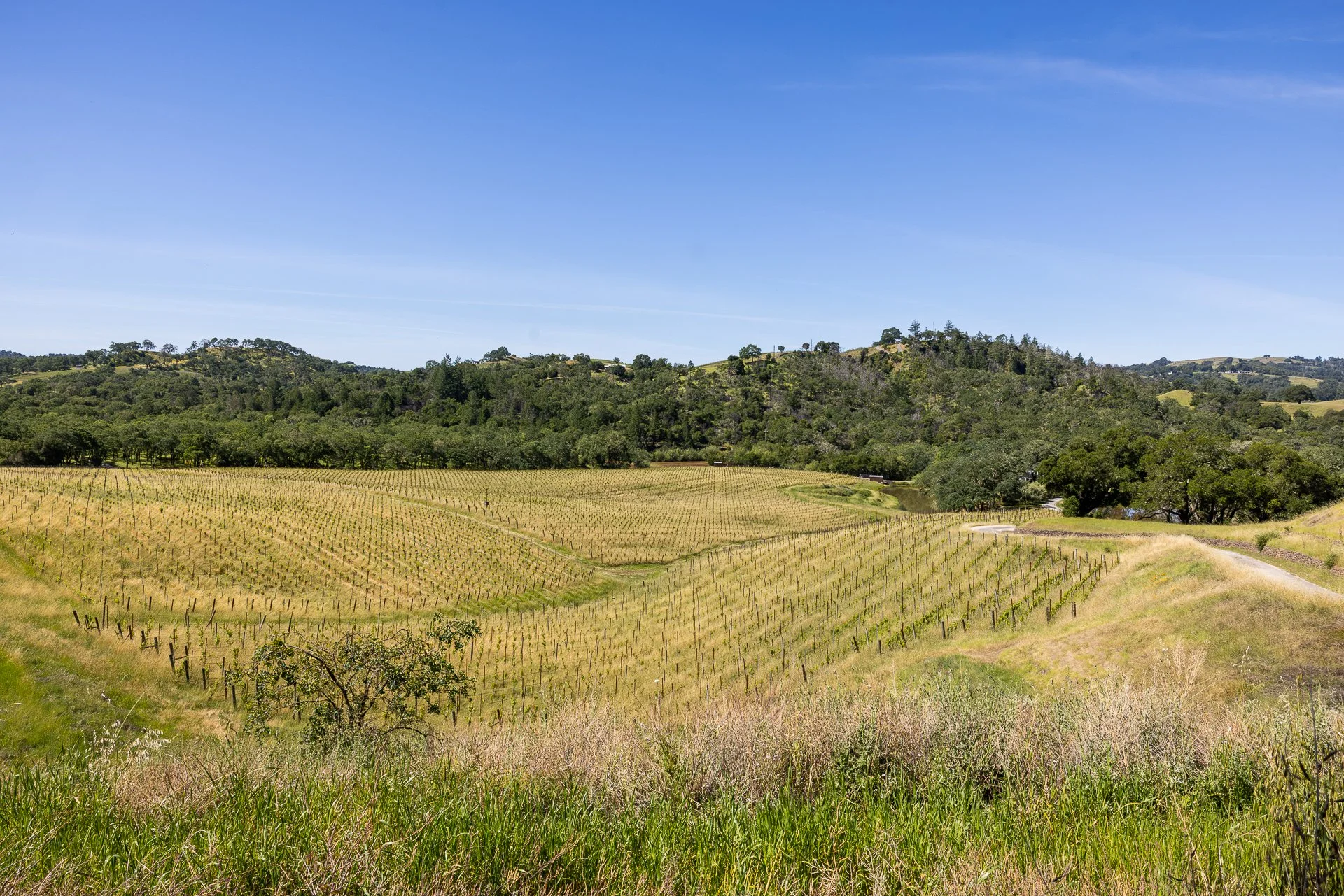 Lucero_Group_13414_Chalk_Hill_Rd-82.jpg