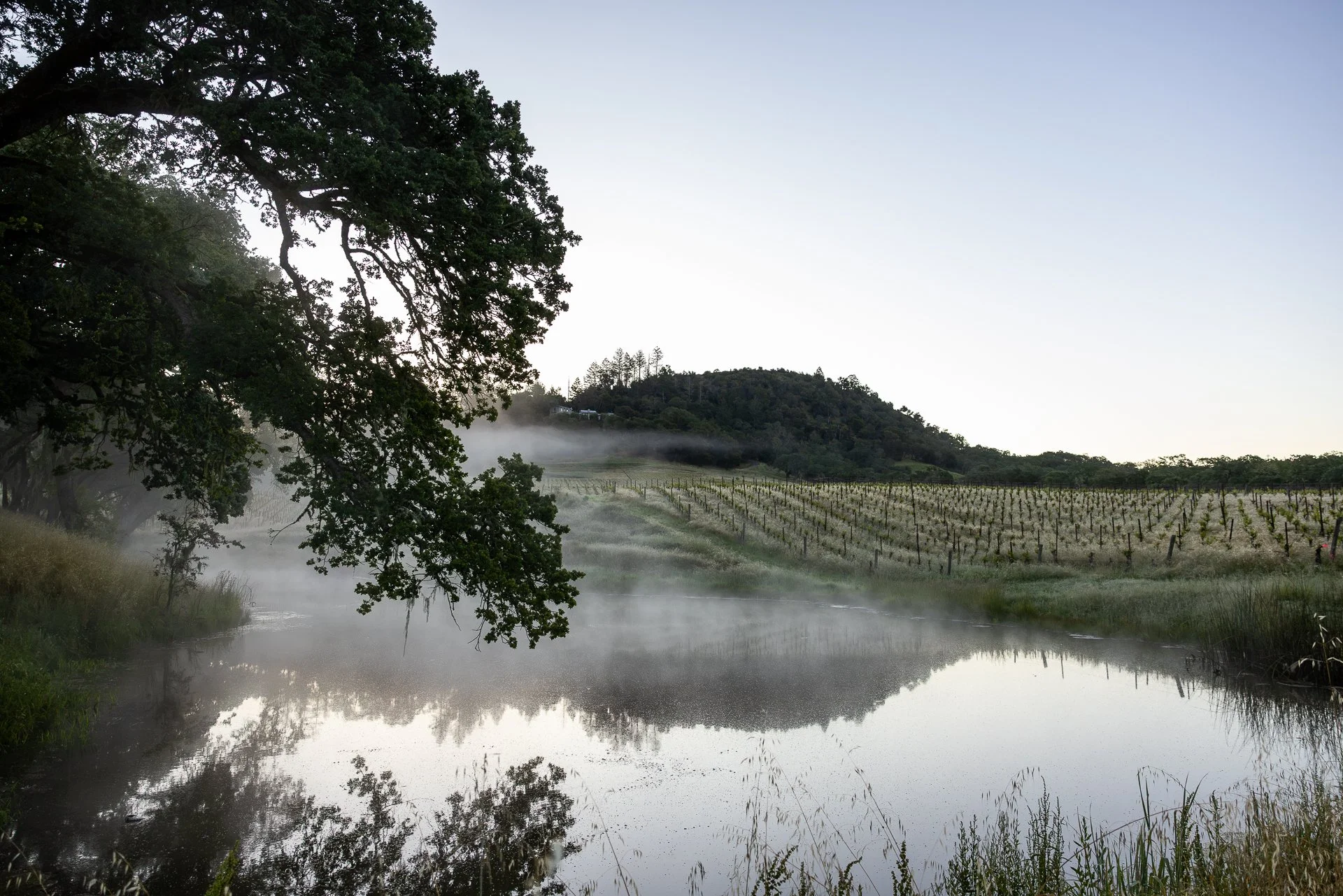 Lucero_Group_13414_Chalk_Hill_Rd-1.jpg