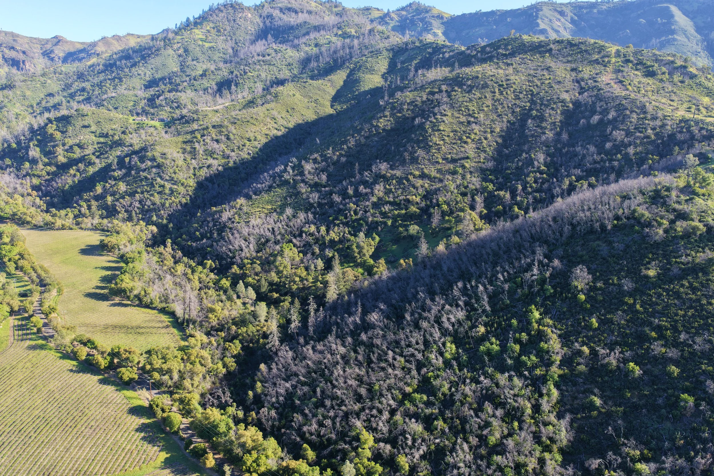 DJI_20260312092842_0062_D.JPG