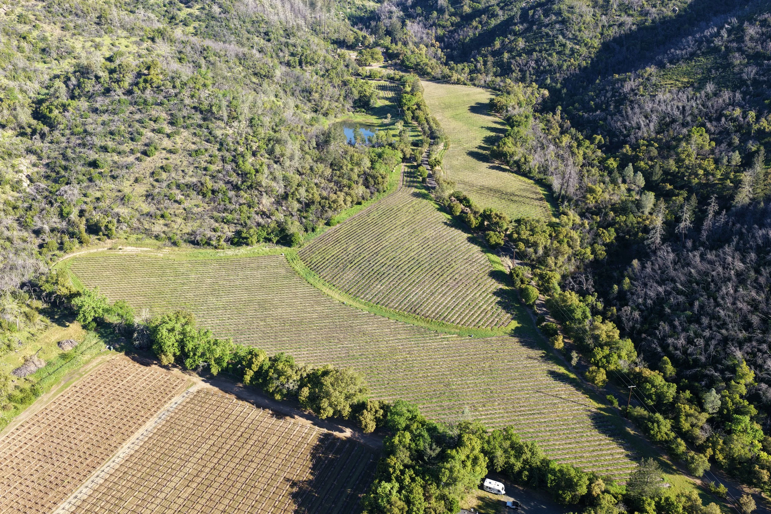 DJI_20260312092819_0058_D.JPG