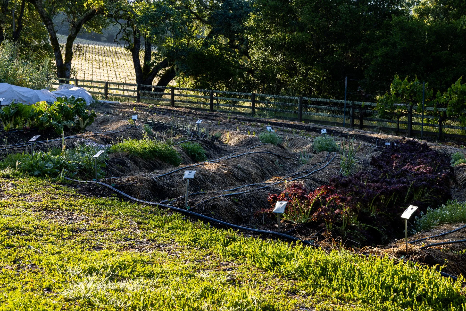Lucero_Group_13414_Chalk_Hill_Rd-27.jpg