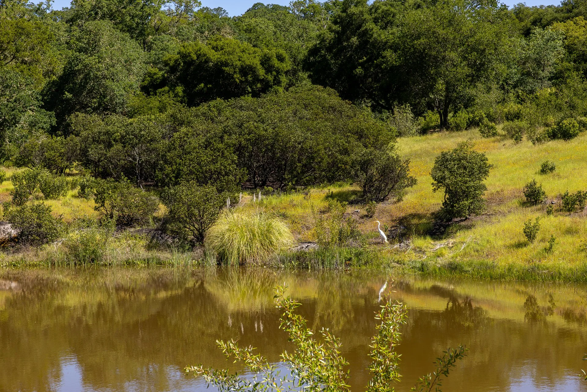 Lucero_Group_13414_Chalk_Hill_Rd-88.jpg