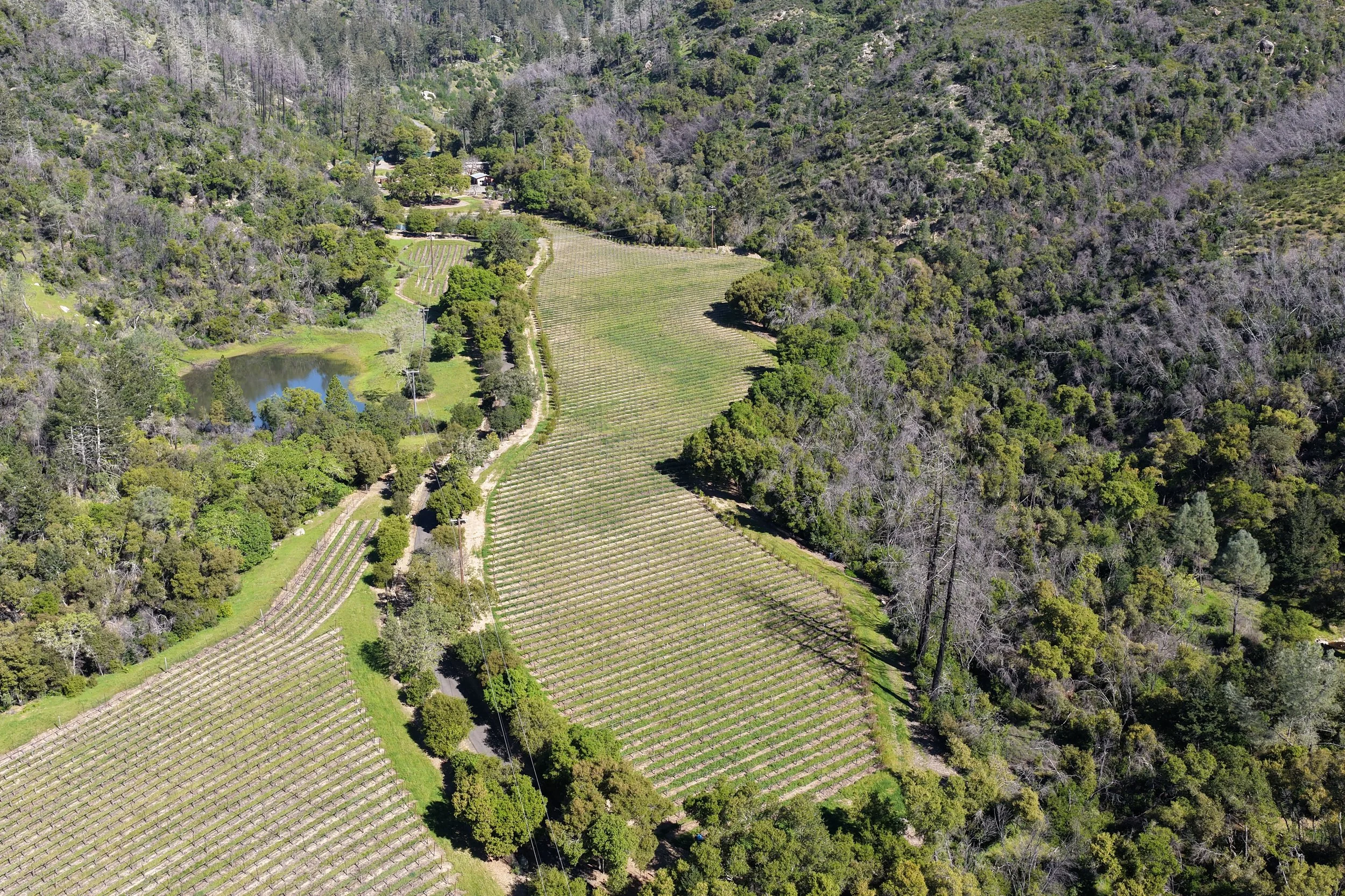 DJI_20260312110944_0076_D.JPG