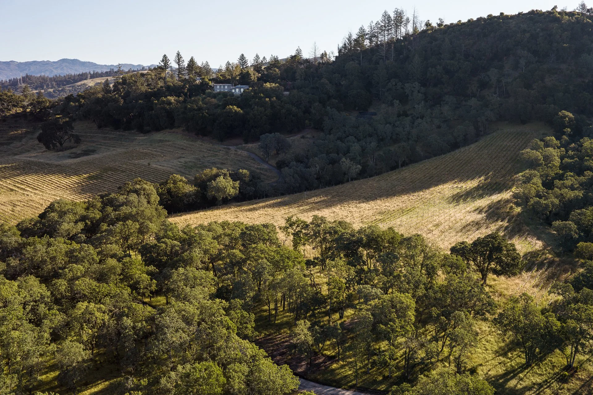 Lucero_Group_13414_Chalk_Hill_Rd-147.jpg